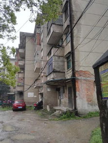 荥经县房屋安全检测鉴定单位 房屋抗震安全检测鉴定报告 新闻