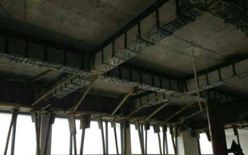 茂名房屋加固队